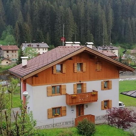 B&B Il Tulipano San Pietro di Cadore Exterior foto