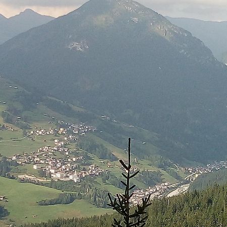 B&B Il Tulipano San Pietro di Cadore Exterior foto