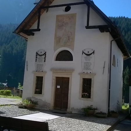 B&B Il Tulipano San Pietro di Cadore Exterior foto