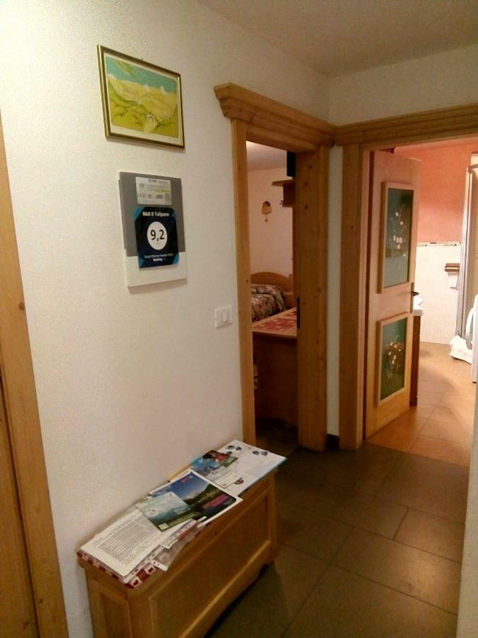 B&B Il Tulipano San Pietro di Cadore Exterior foto