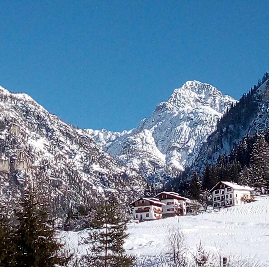 B&B Il Tulipano San Pietro di Cadore Exterior foto