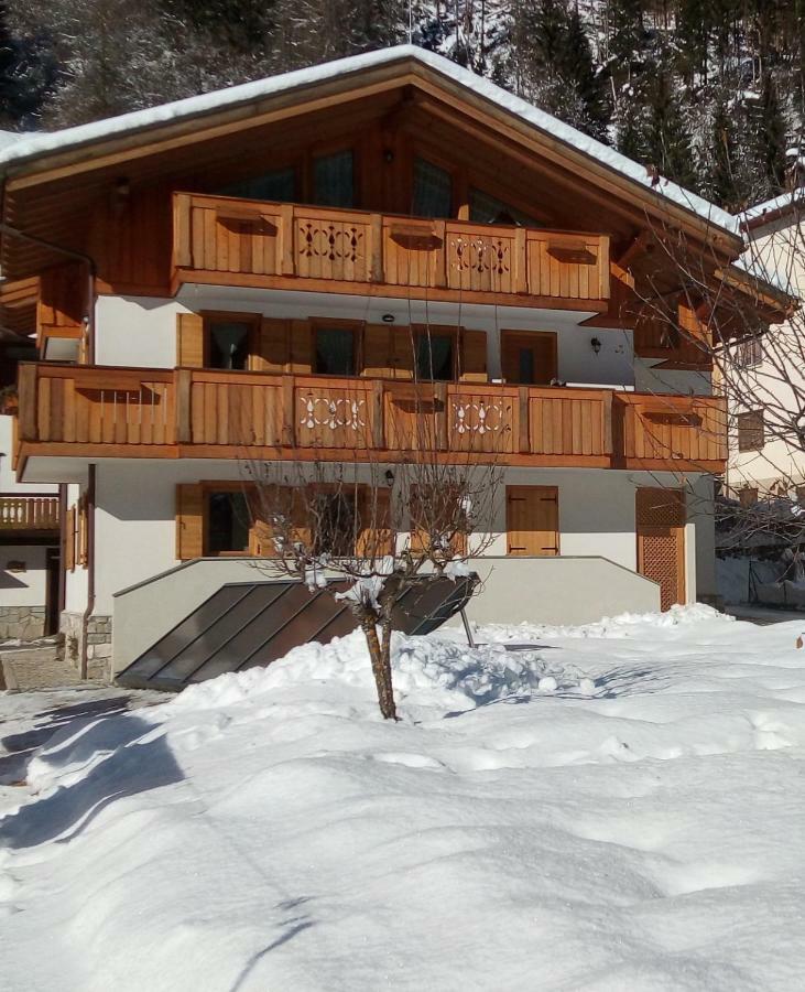 B&B Il Tulipano San Pietro di Cadore Exterior foto