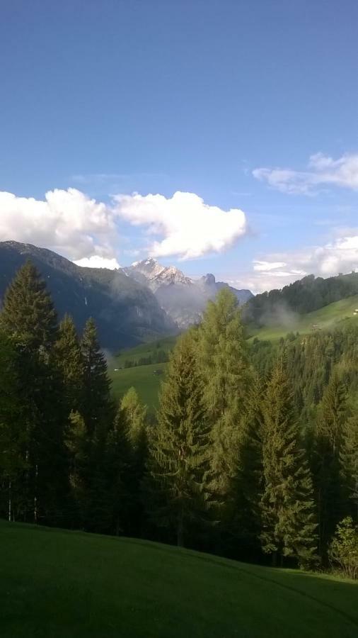 B&B Il Tulipano San Pietro di Cadore Exterior foto