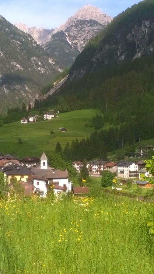 B&B Il Tulipano San Pietro di Cadore Exterior foto